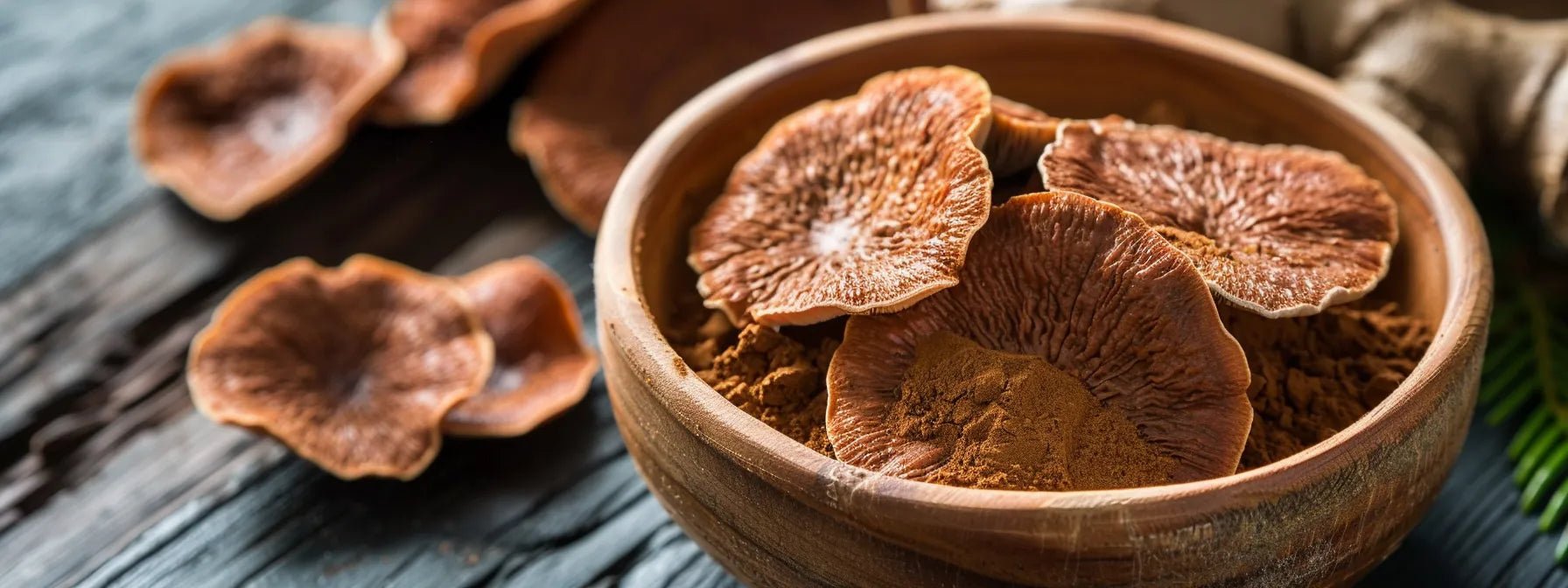 Benefits of Organic Reishi Mushroom Powder for Wellness