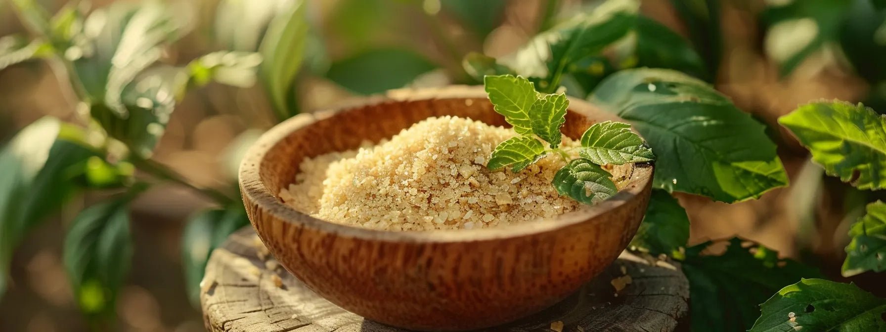 Gluten Free Adaptogen Blend for Plant Based Health