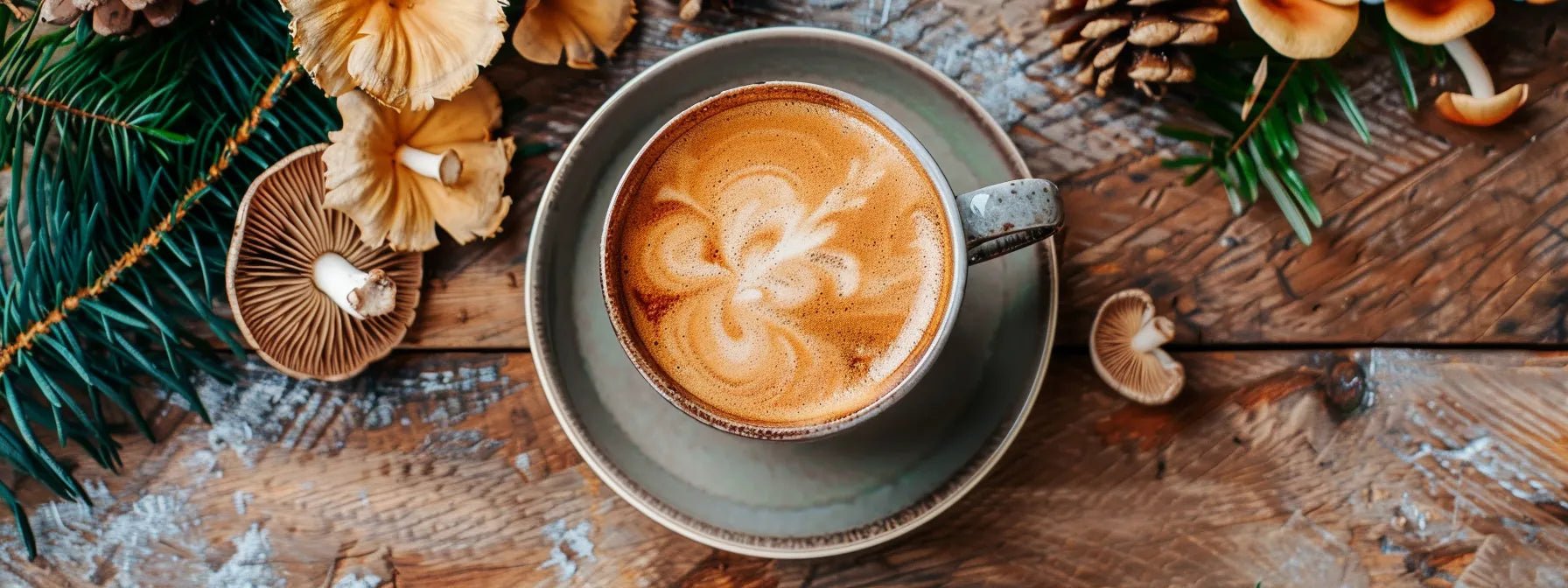 Why Choose Organic Mushroom Coffee for Your Morning Routine