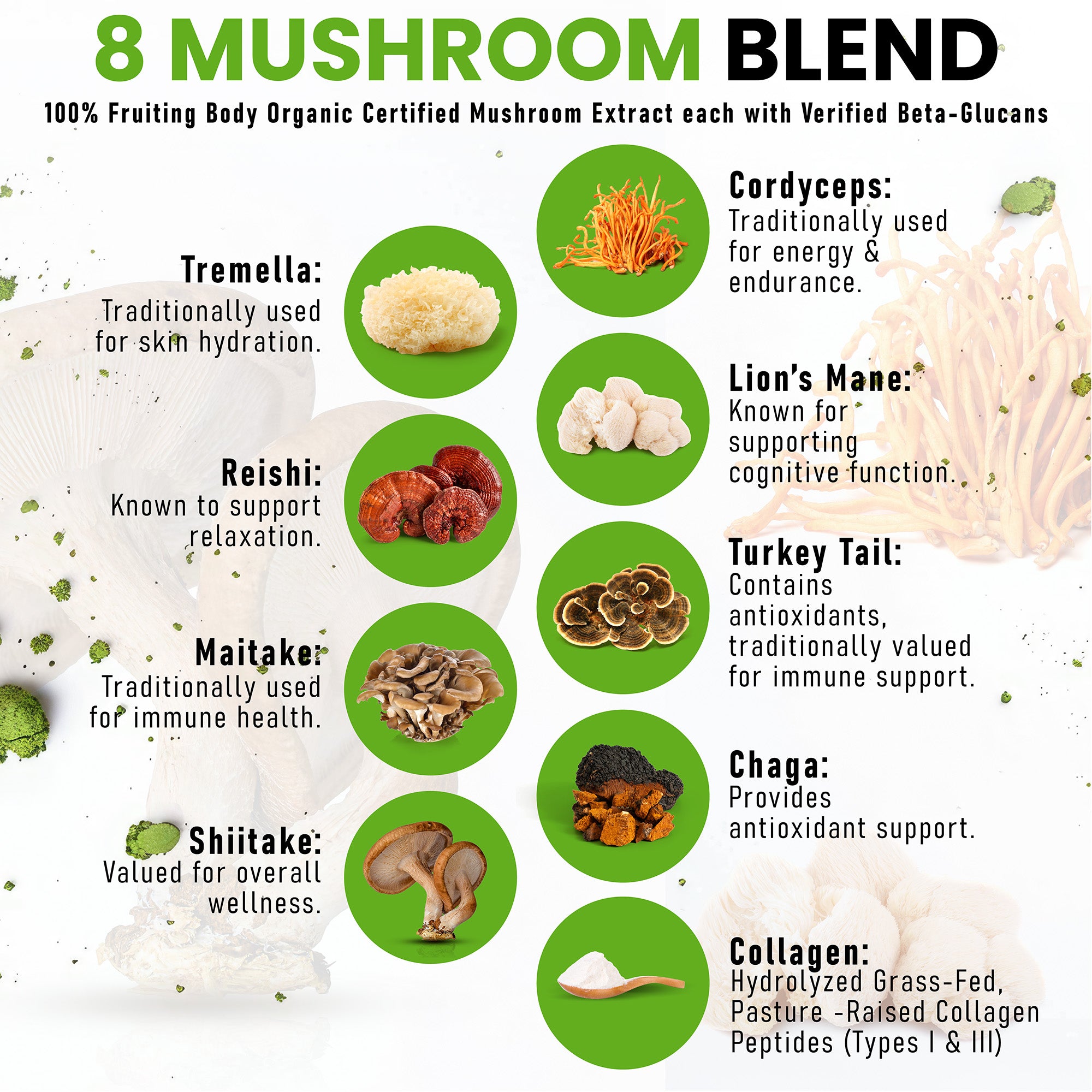 Mushroom Powder Plus™ Matcha 30 Servings